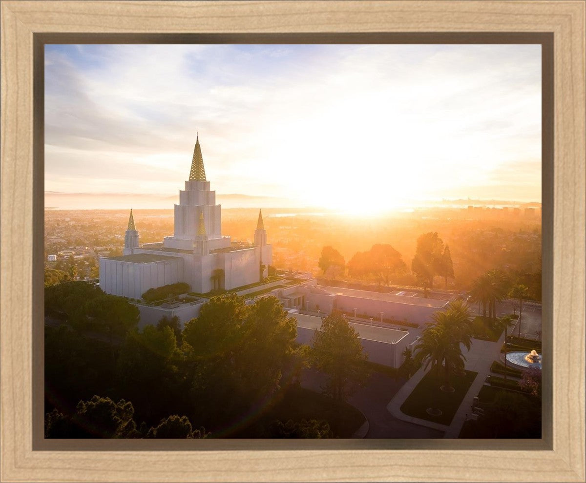 Oakland Sunburst