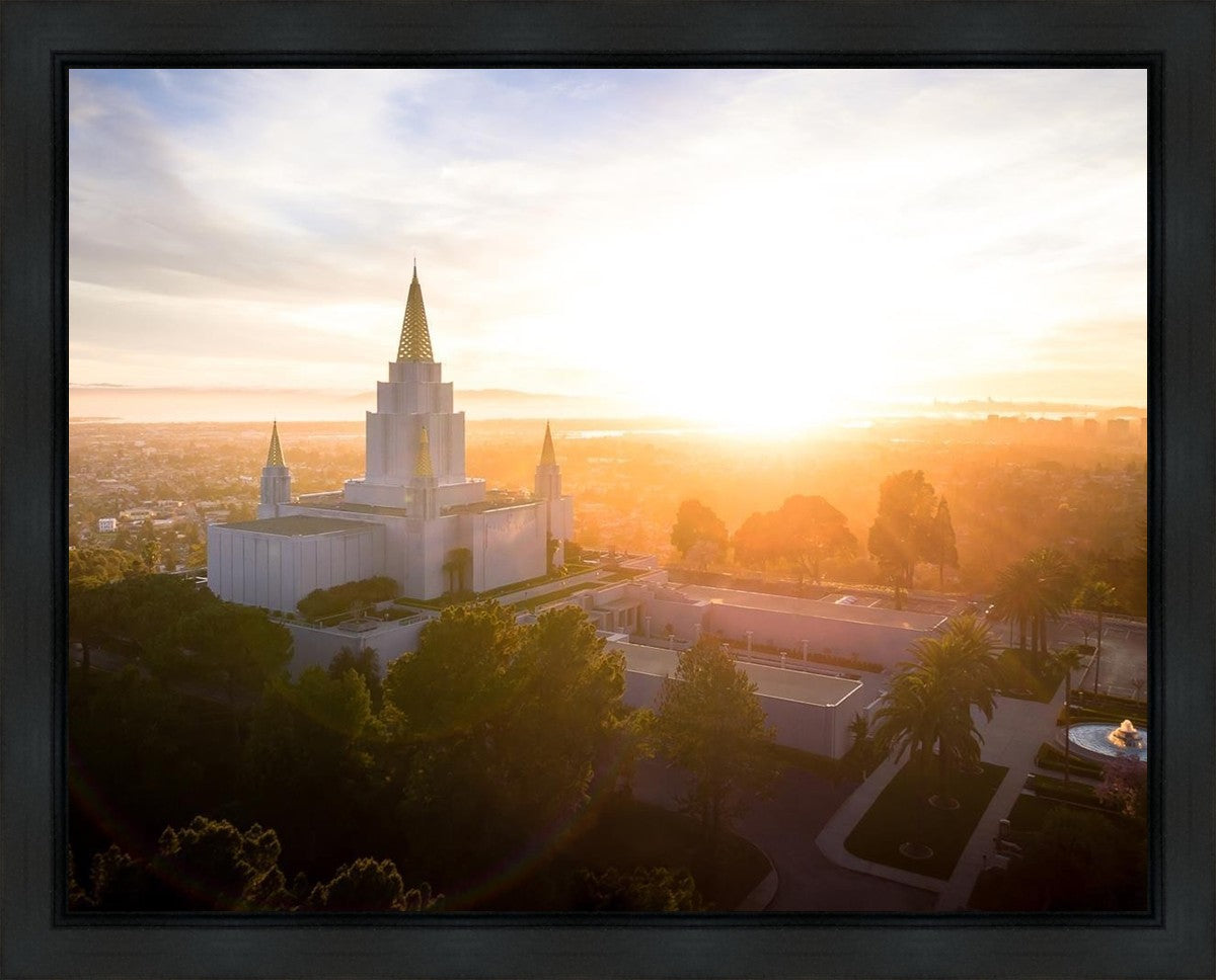 Oakland Sunburst