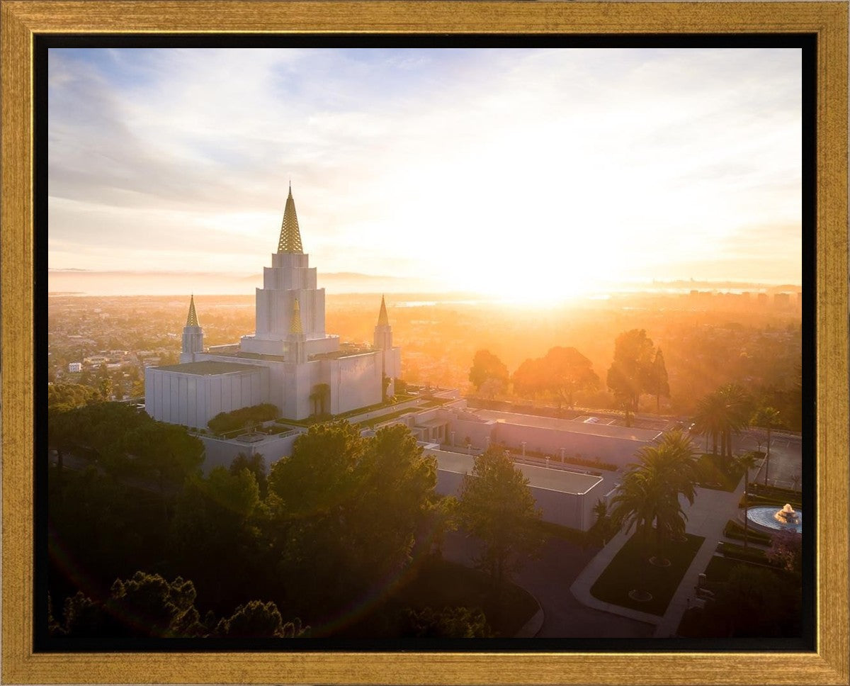 Oakland Sunburst