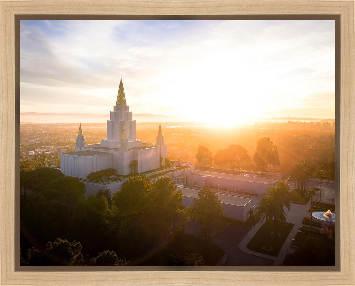 Oakland Sunburst