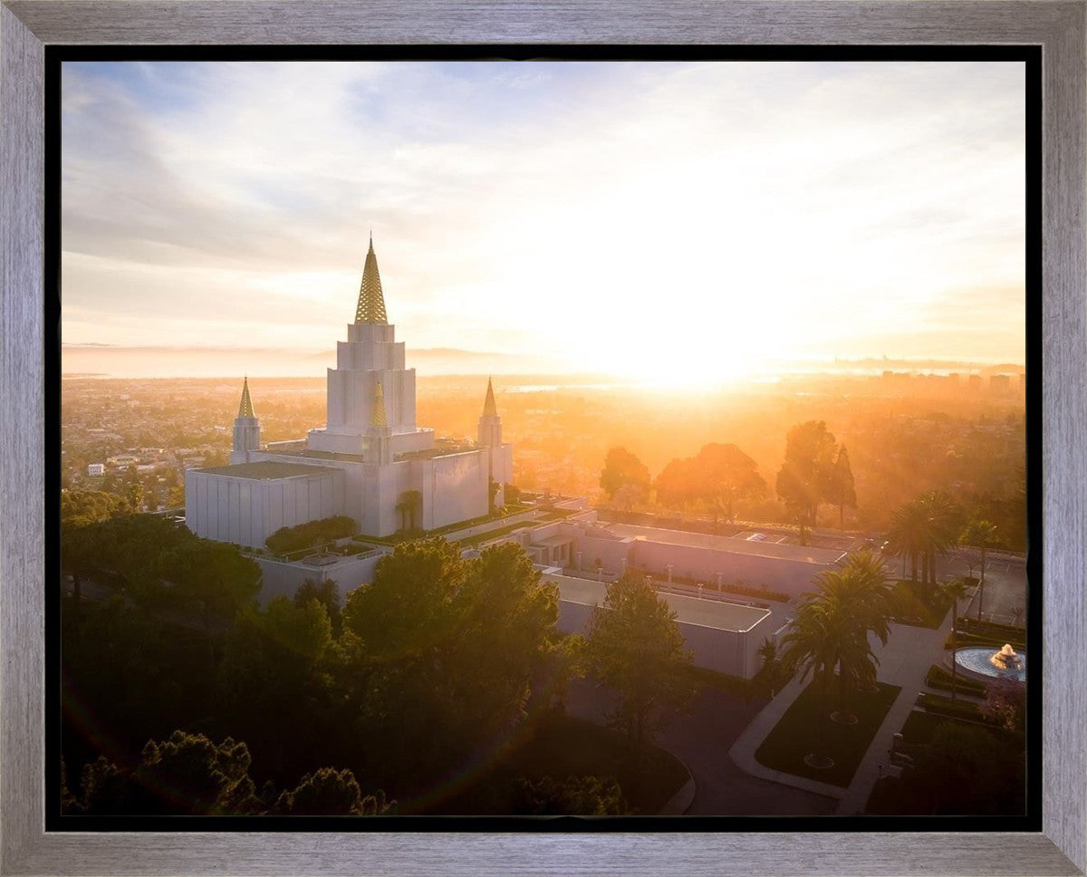 Oakland Sunburst