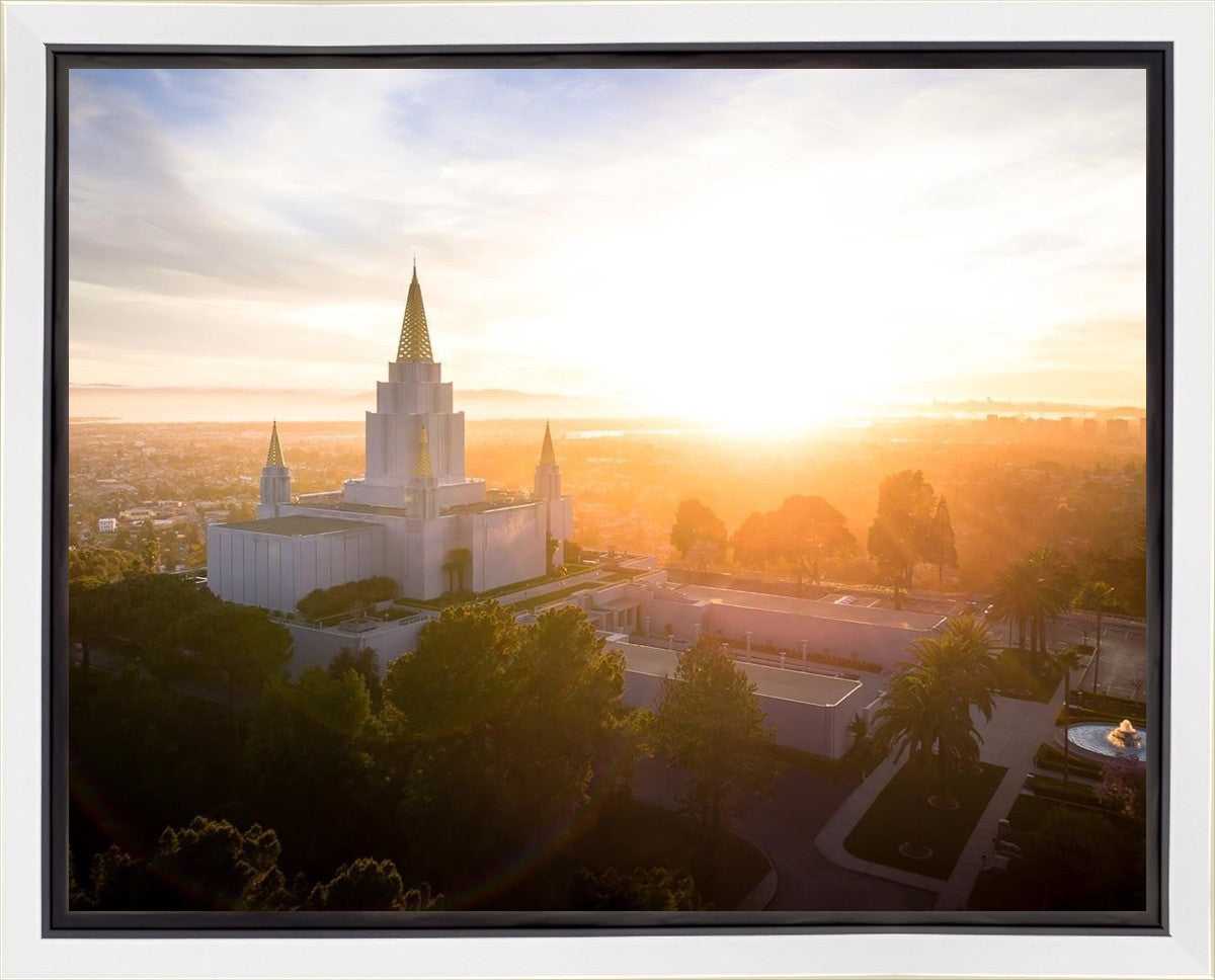 Oakland Sunburst