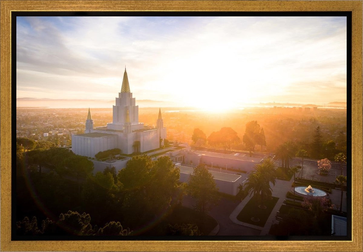 Oakland Sunburst