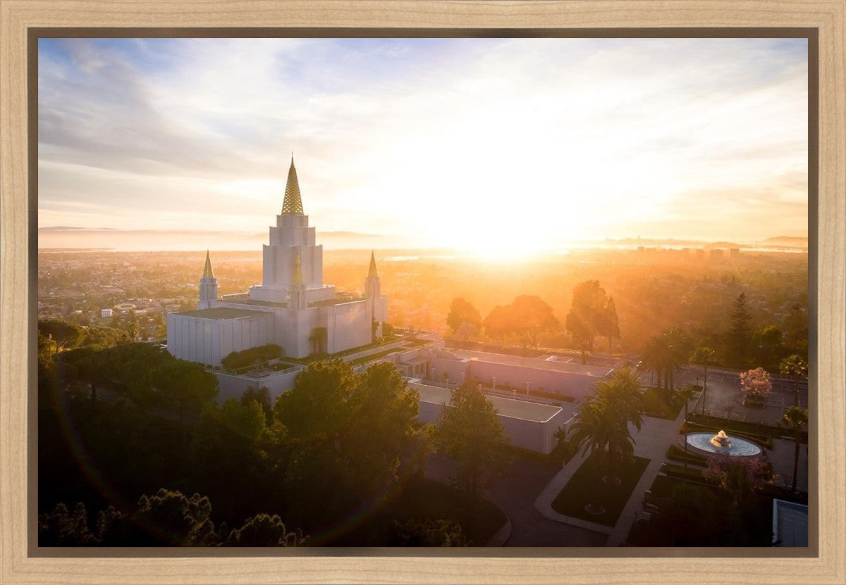 Oakland Sunburst
