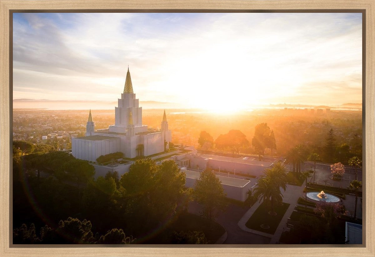 Oakland Sunburst