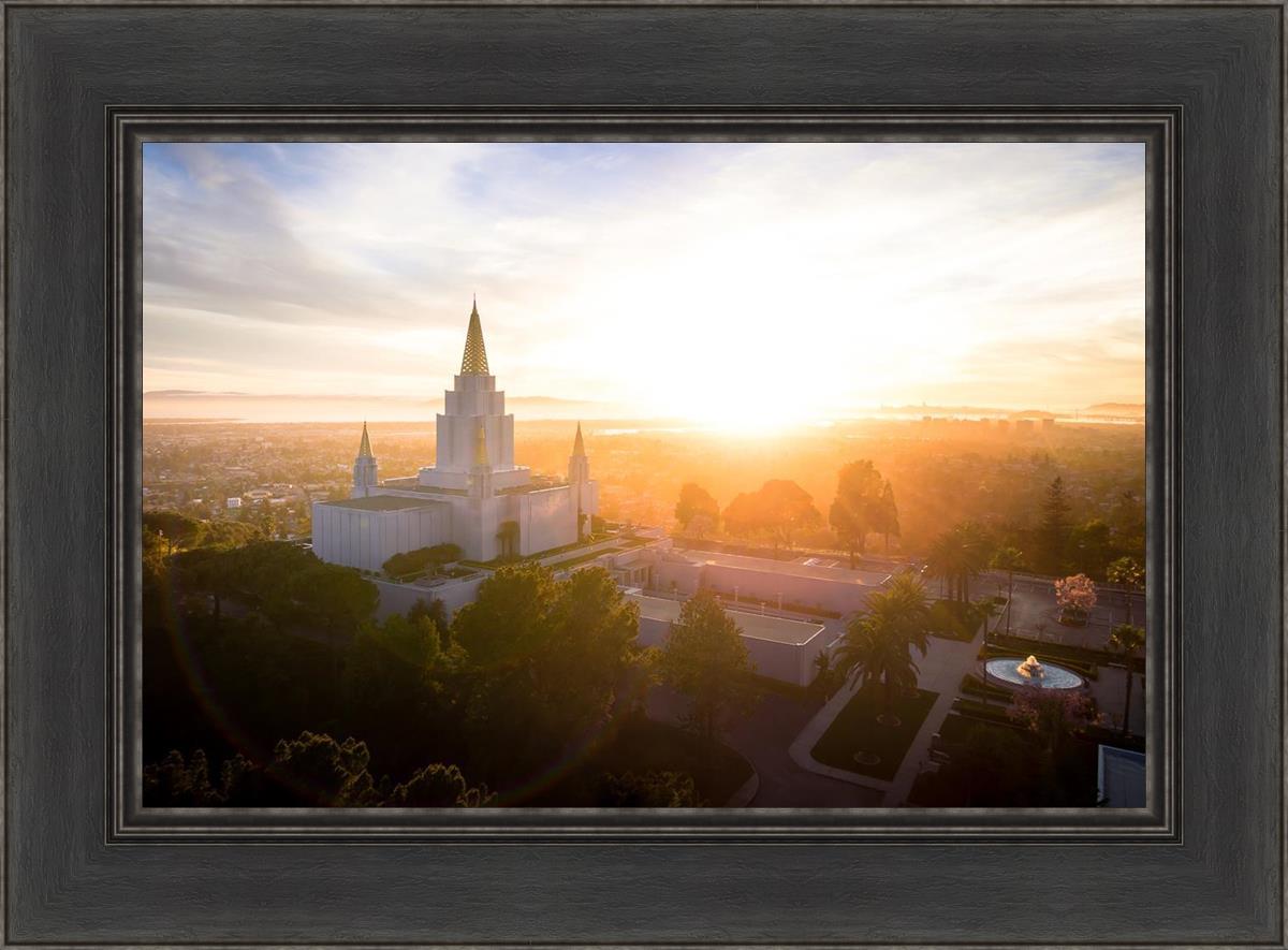 Oakland Sunburst