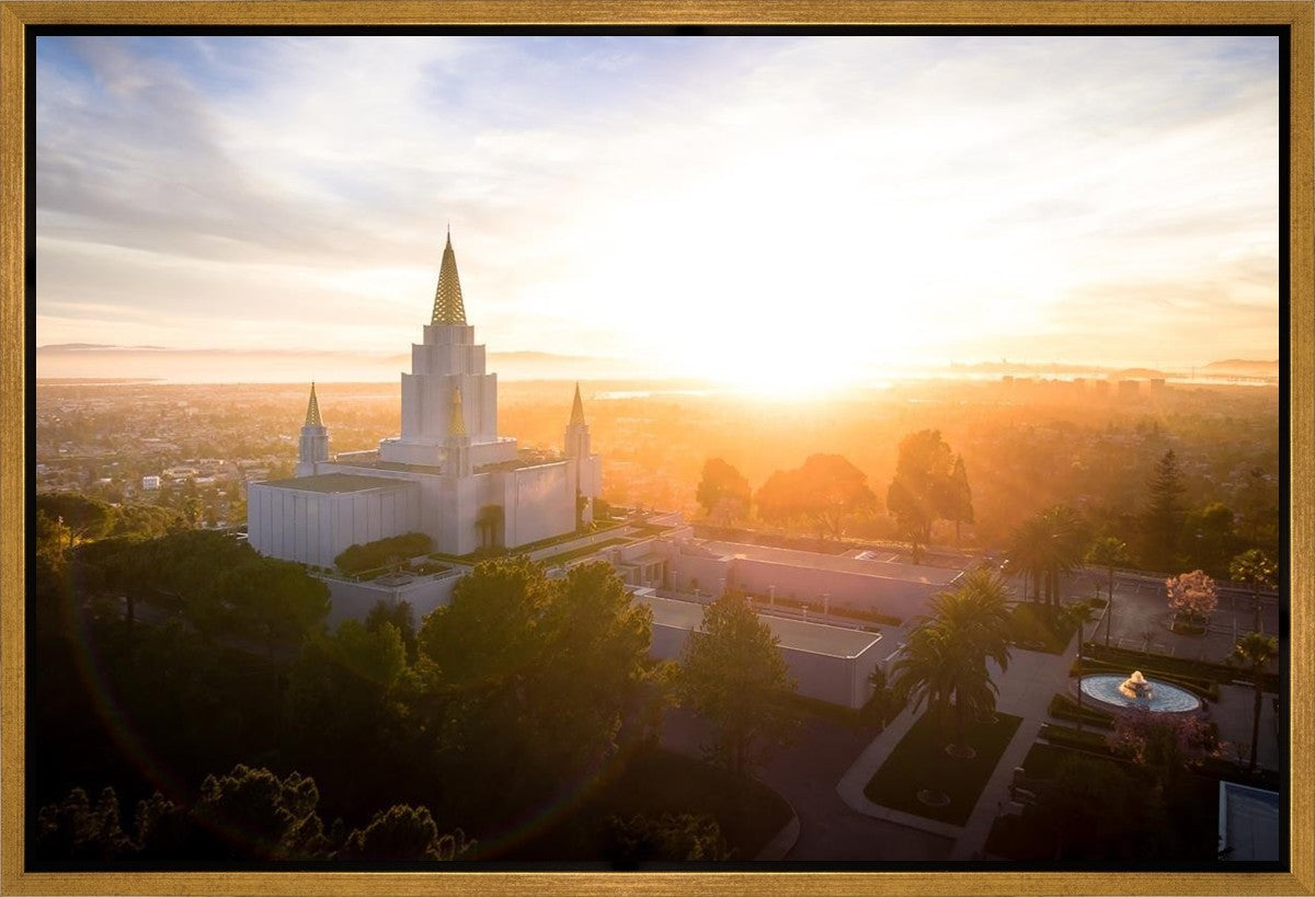 Oakland Sunburst