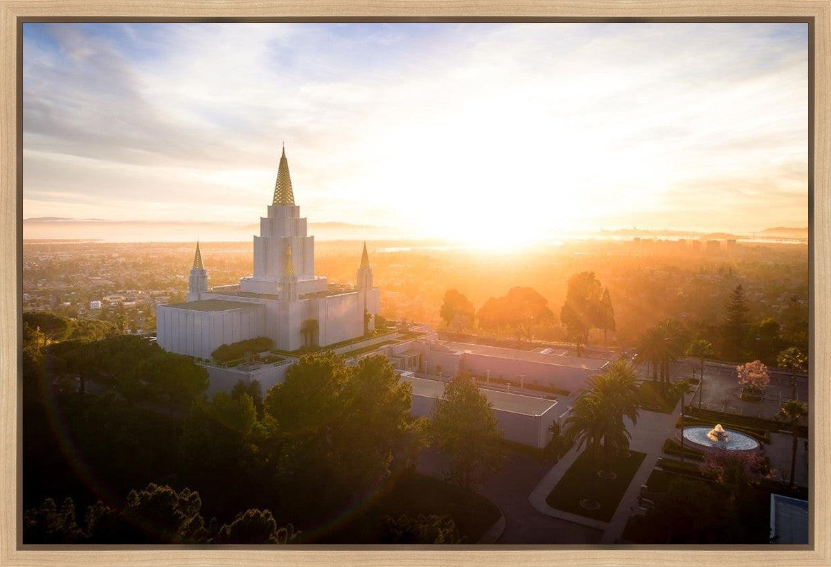 Oakland Sunburst