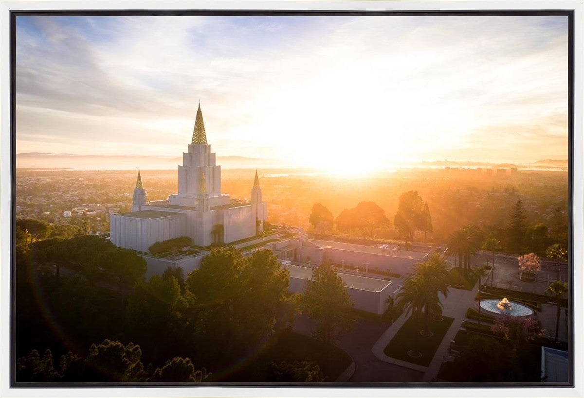 Oakland Sunburst