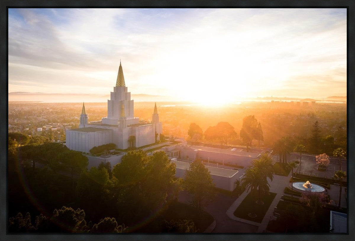 Oakland Sunburst