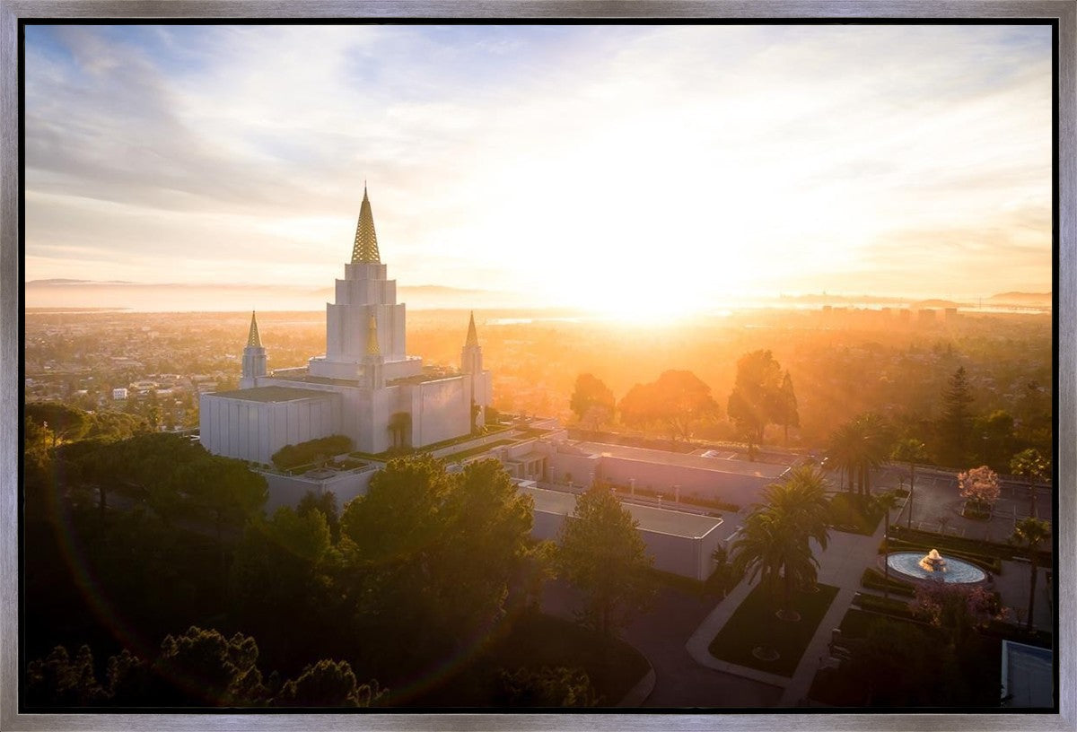 Oakland Sunburst