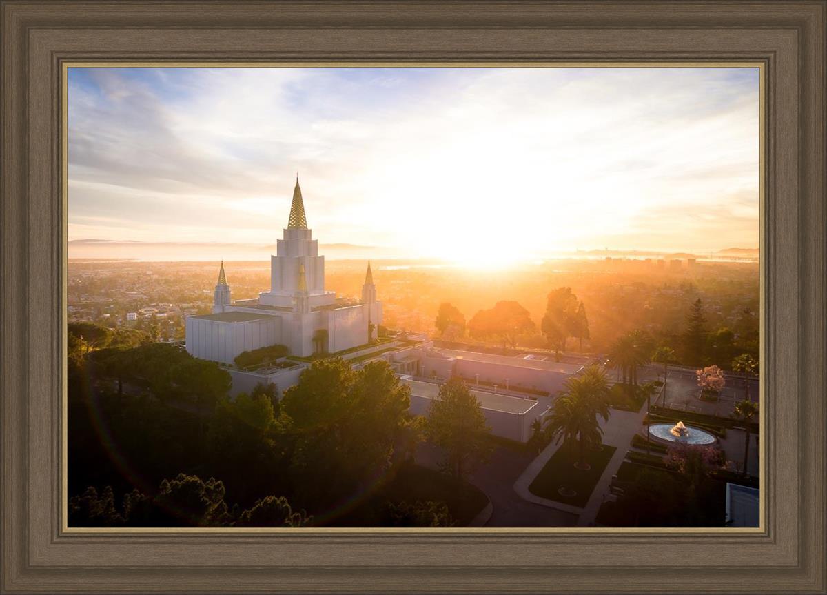 Oakland Sunburst