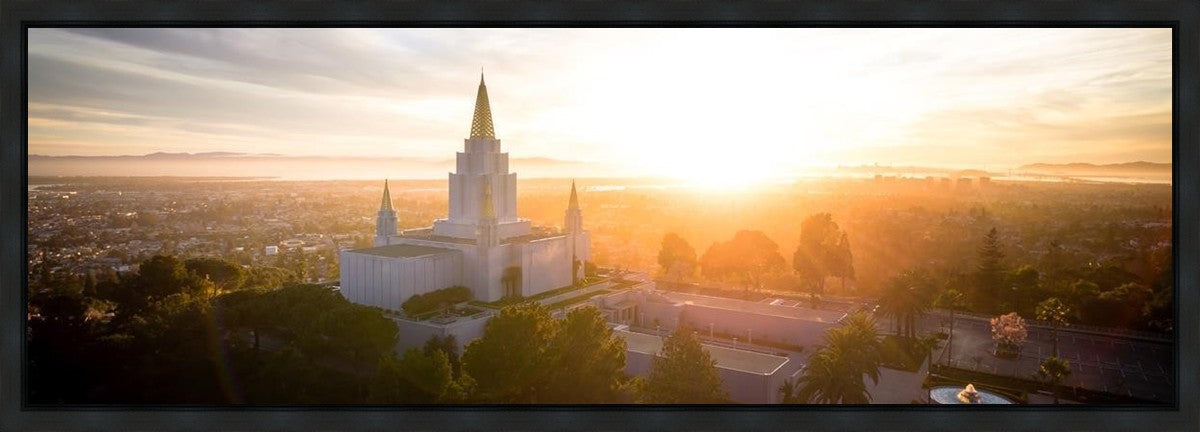 Oakland Sunburst