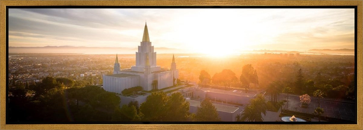 Oakland Sunburst