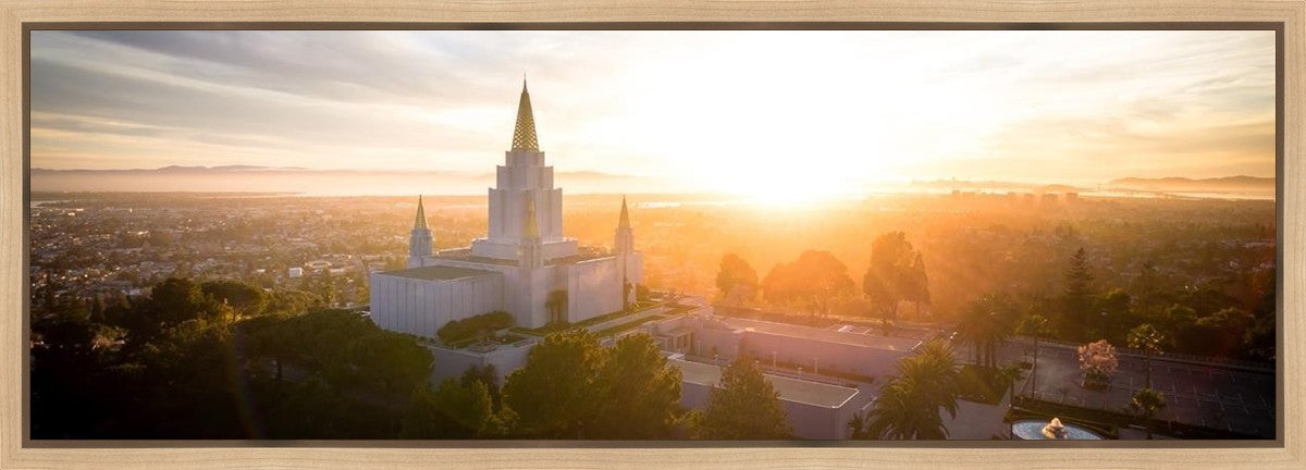 Oakland Sunburst