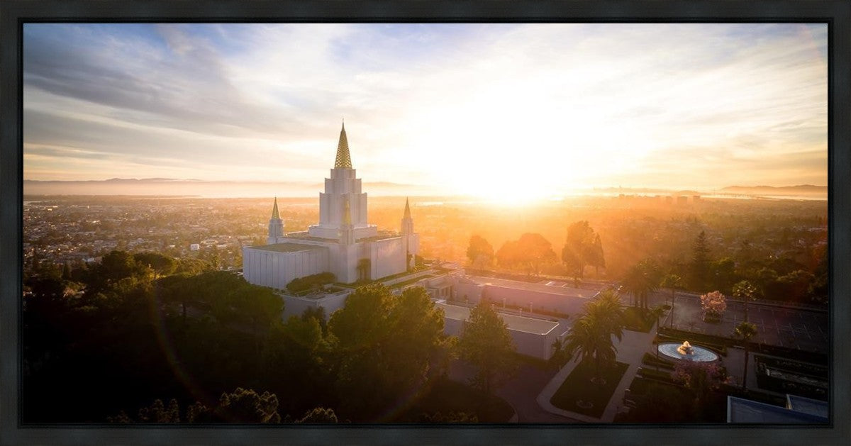 Oakland Sunburst