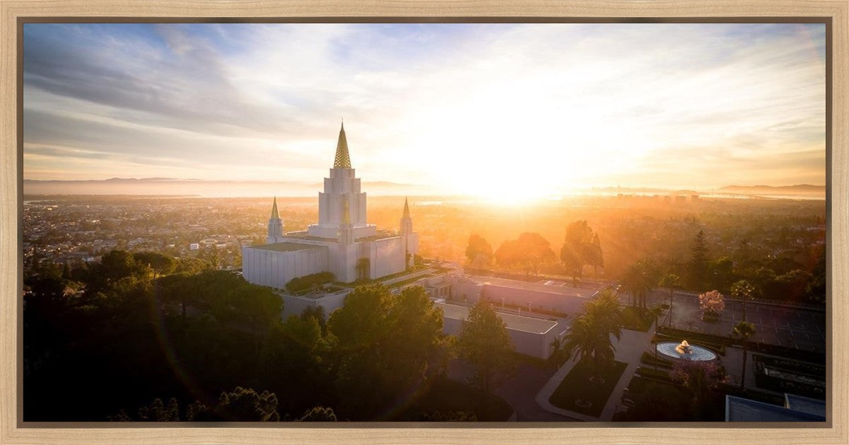 Oakland Sunburst