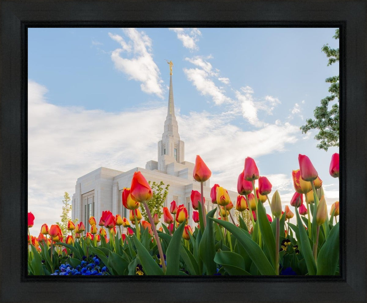 Ogden Flowers