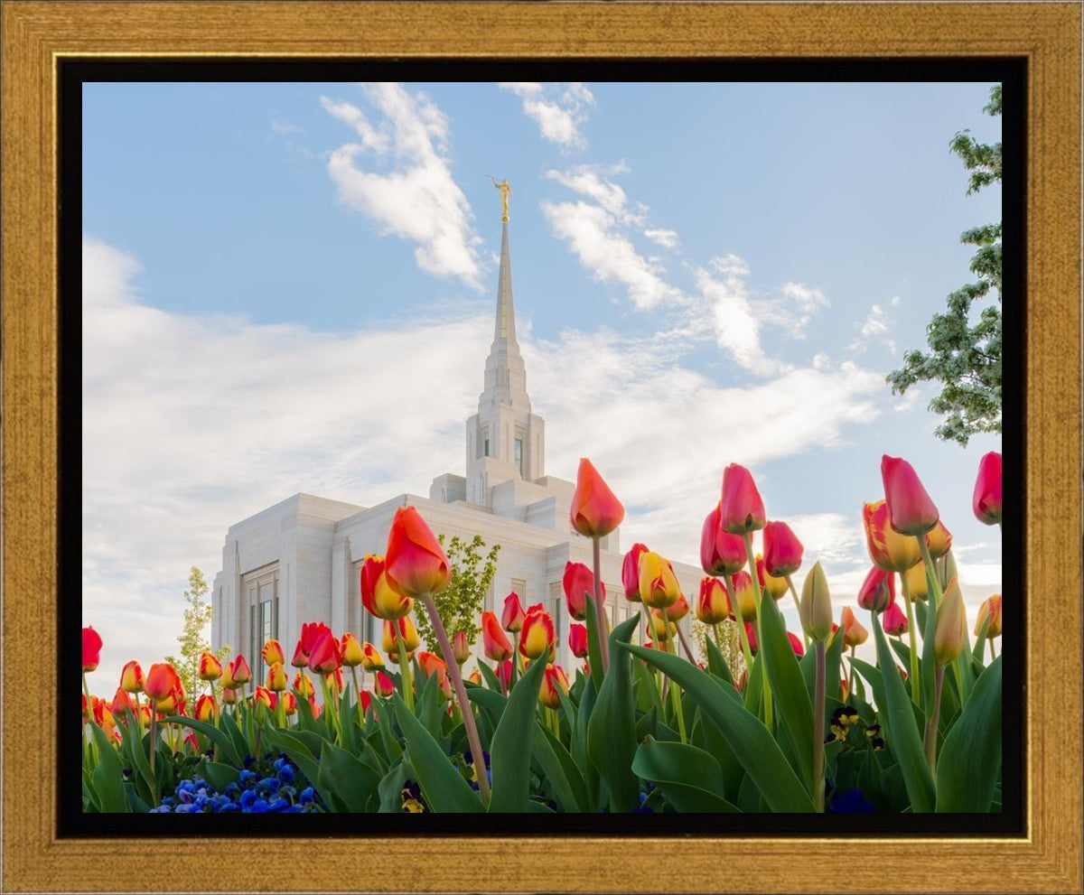 Ogden Flowers
