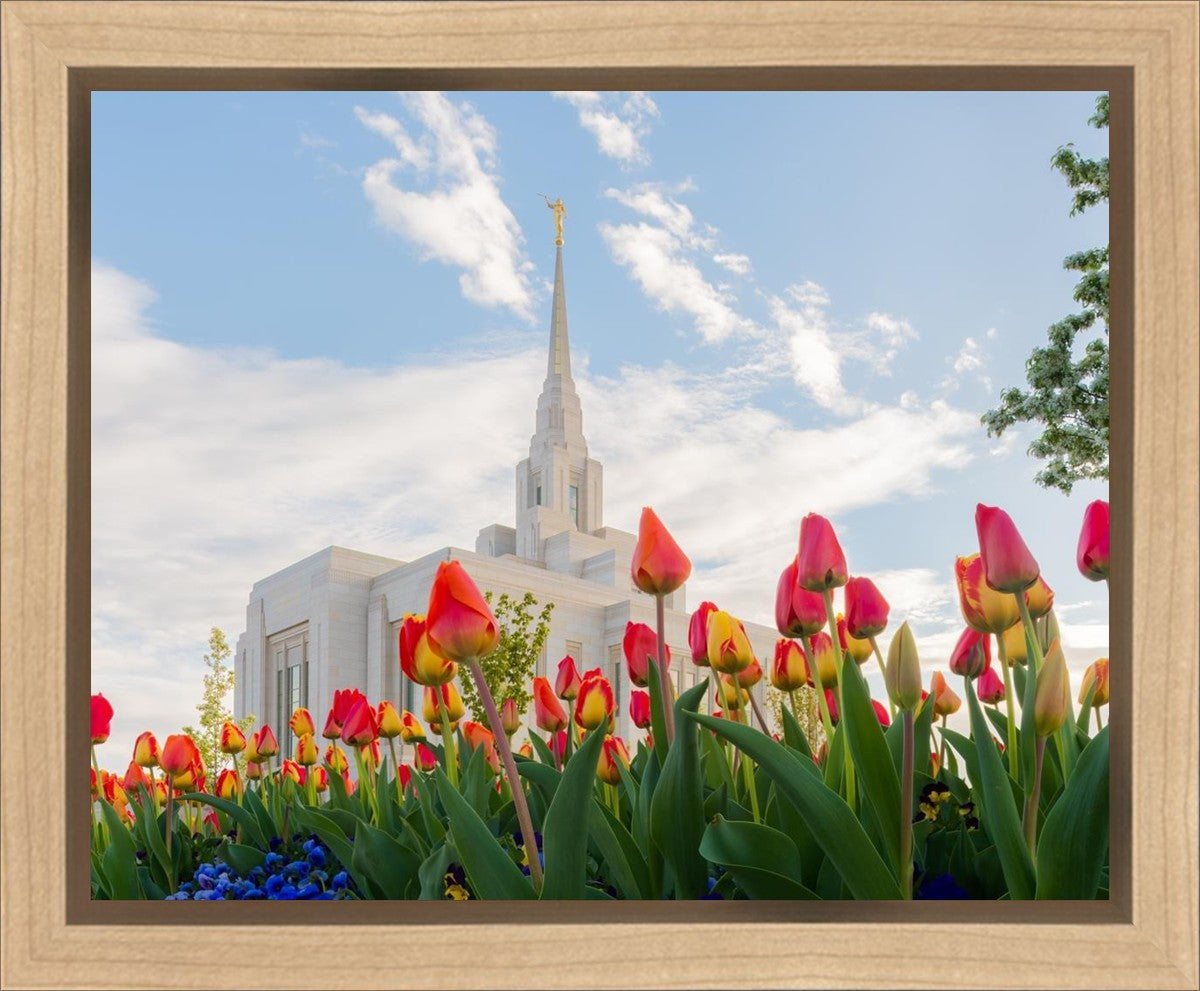 Ogden Flowers