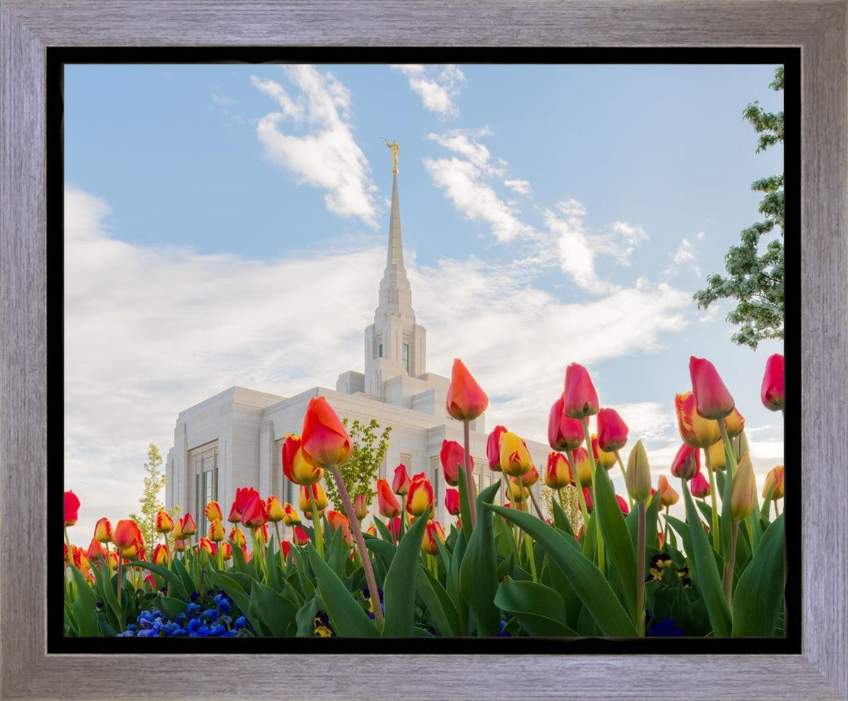 Ogden Flowers