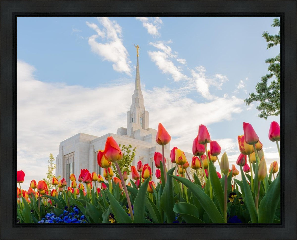 Ogden Flowers