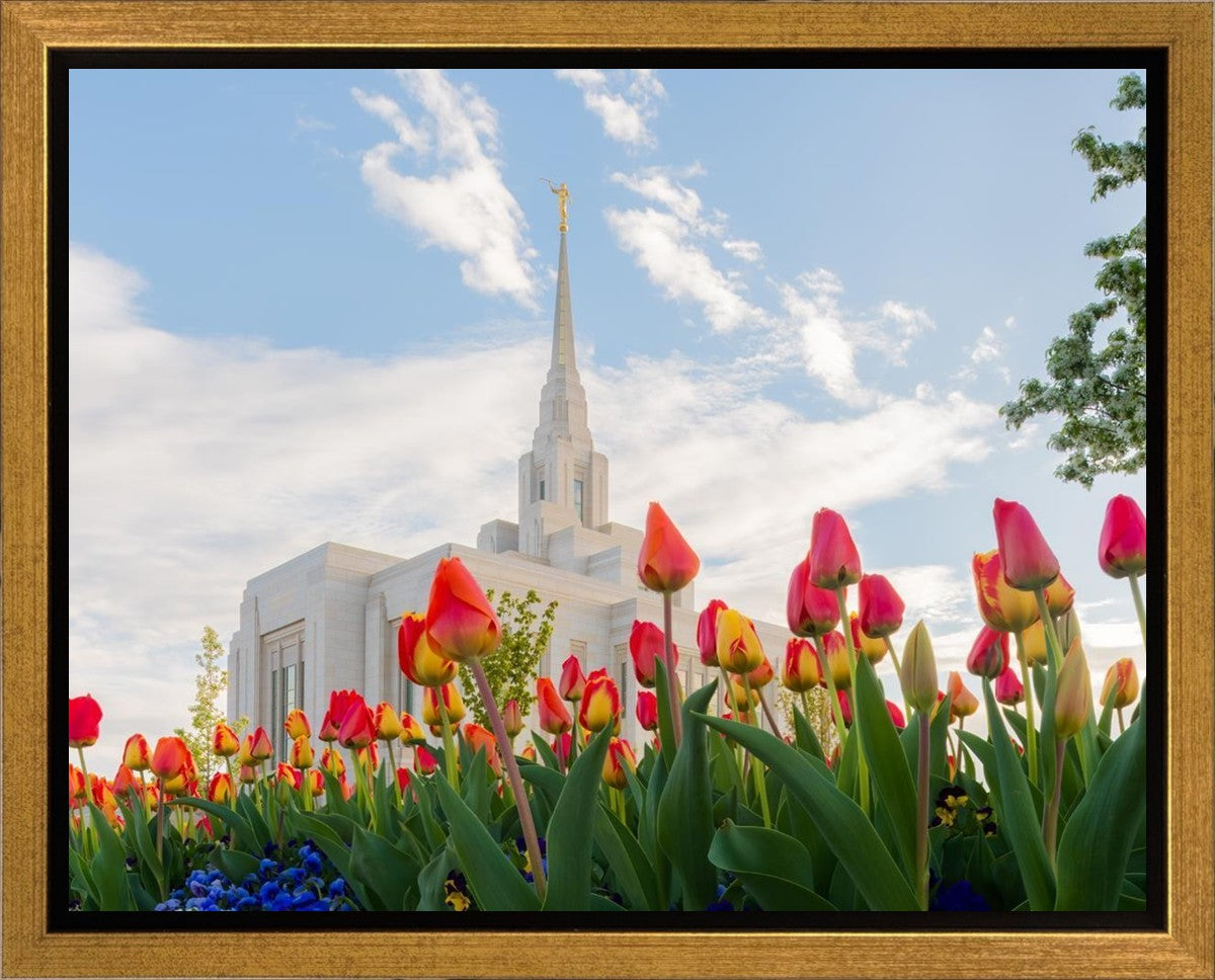 Ogden Flowers