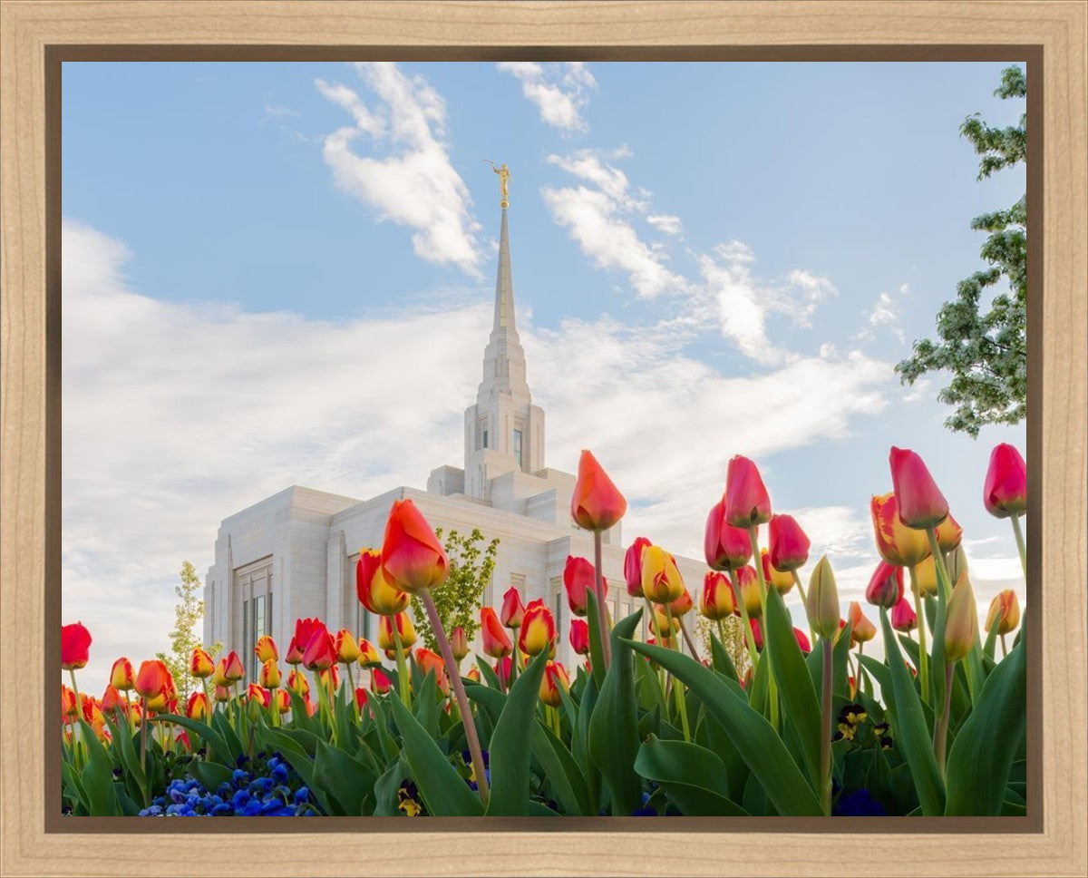 Ogden Flowers