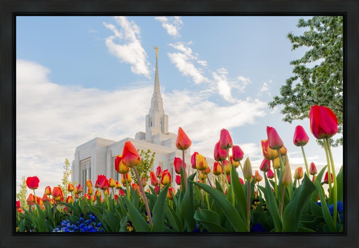 Ogden Flowers