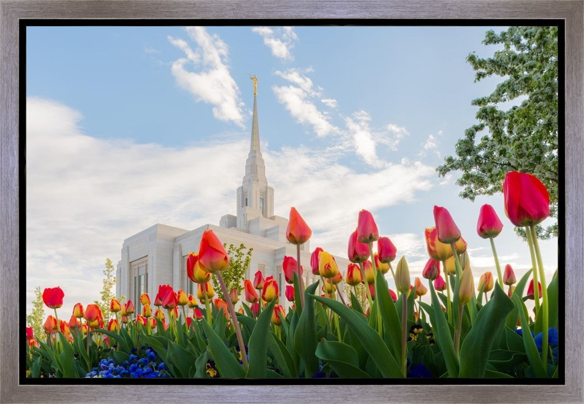 Ogden Flowers