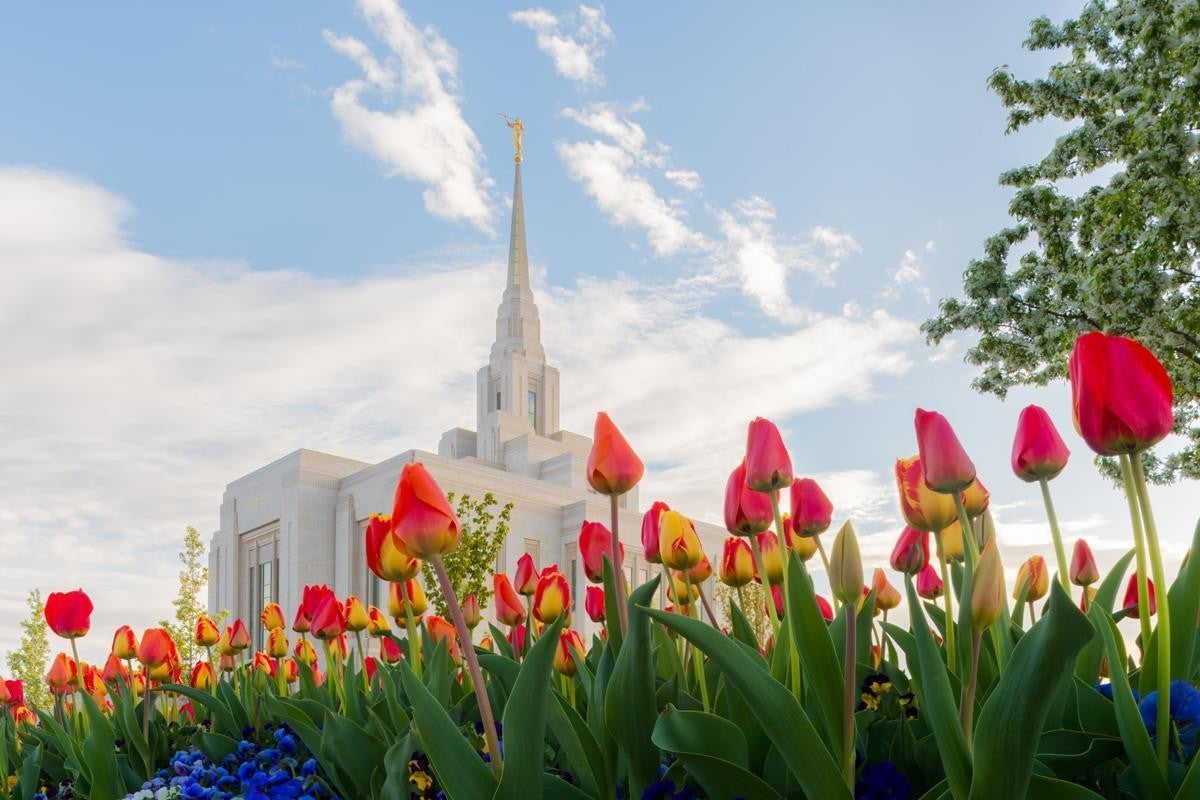 Ogden Flowers