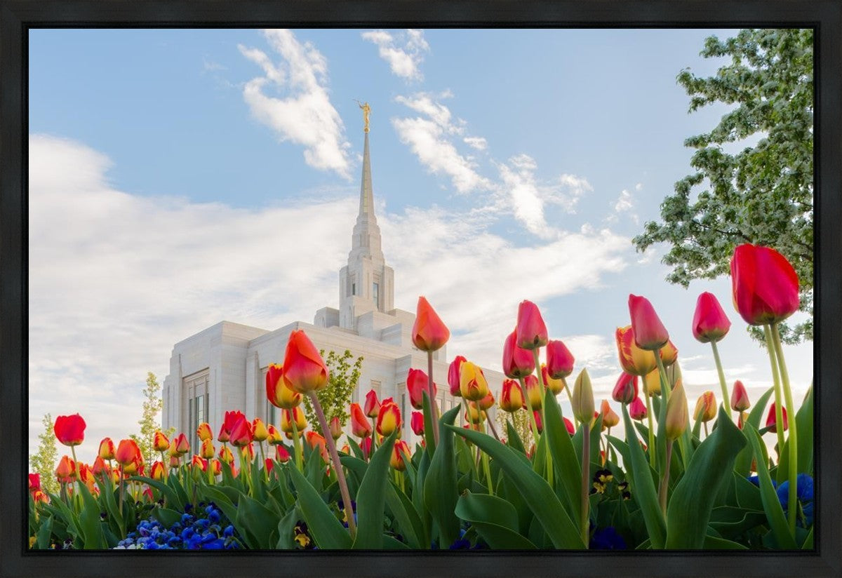 Ogden Flowers