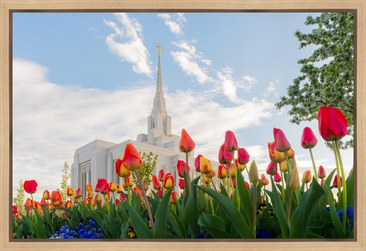 Ogden Flowers