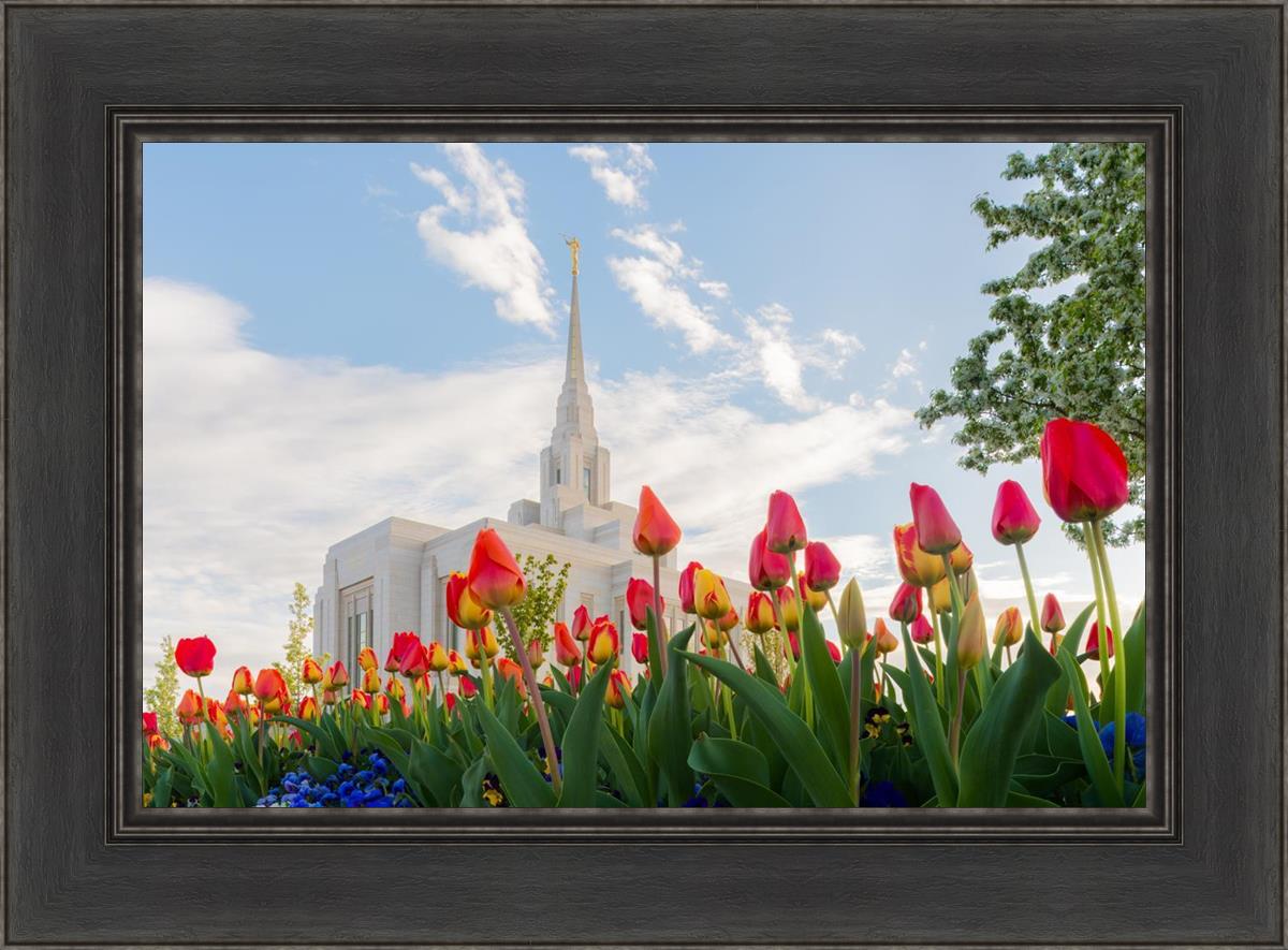 Ogden Flowers