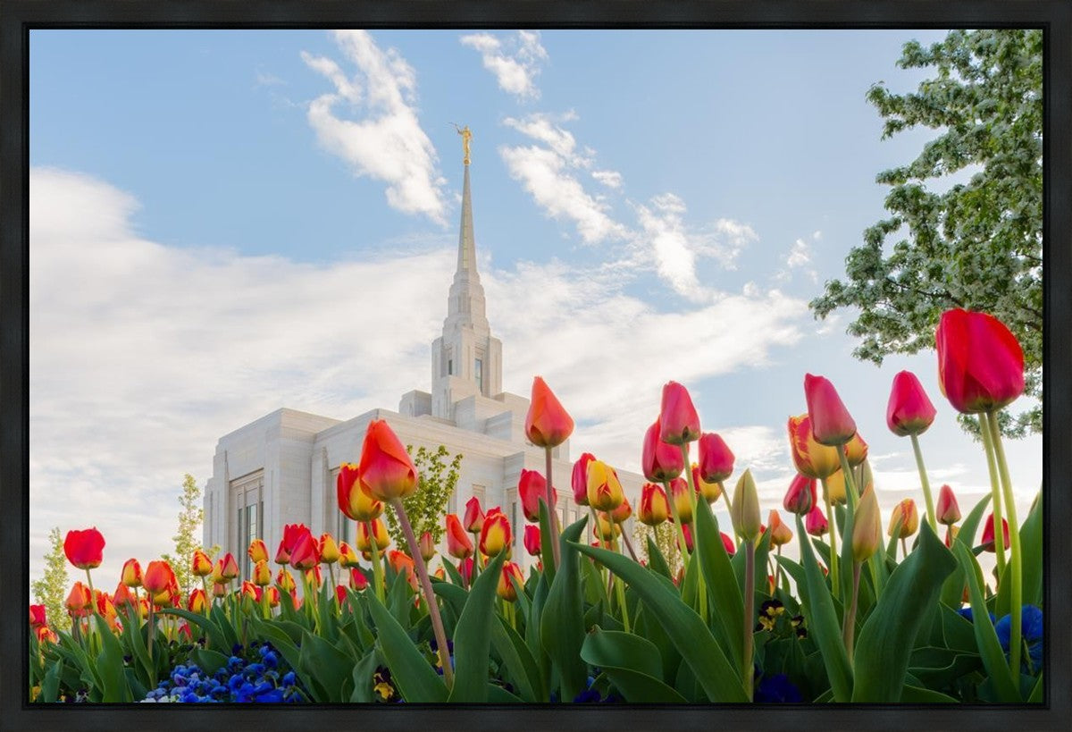 Ogden Flowers