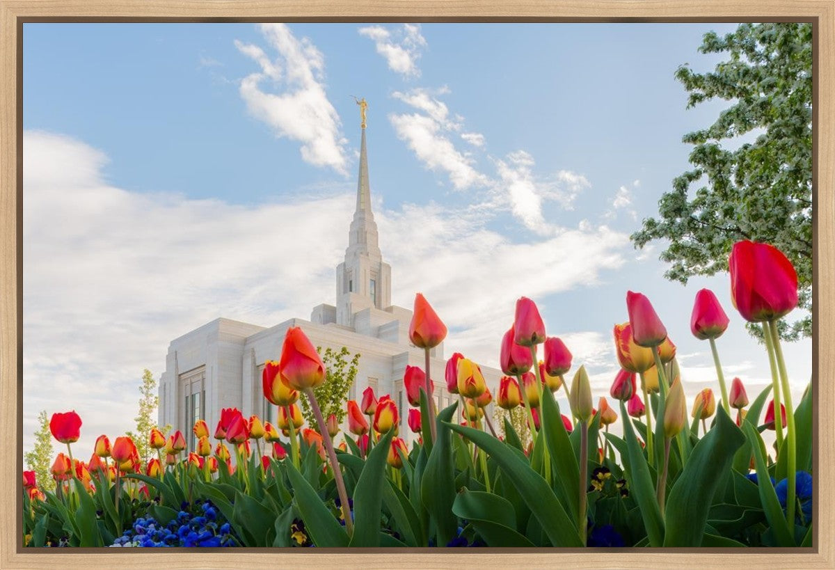 Ogden Flowers