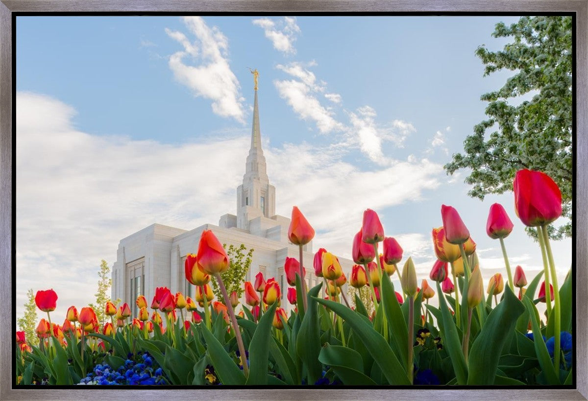 Ogden Flowers