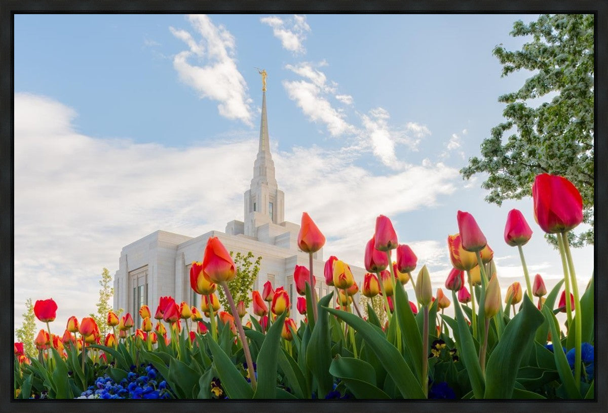 Ogden Flowers