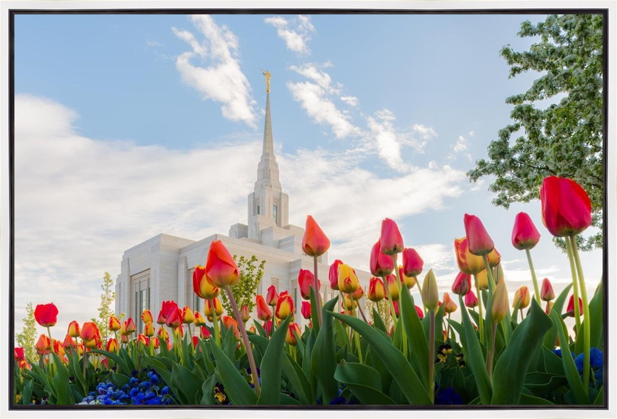 Ogden Flowers