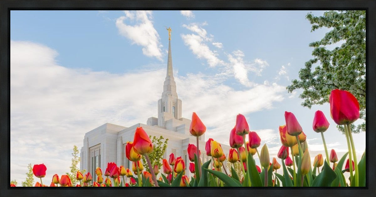 Ogden Flowers