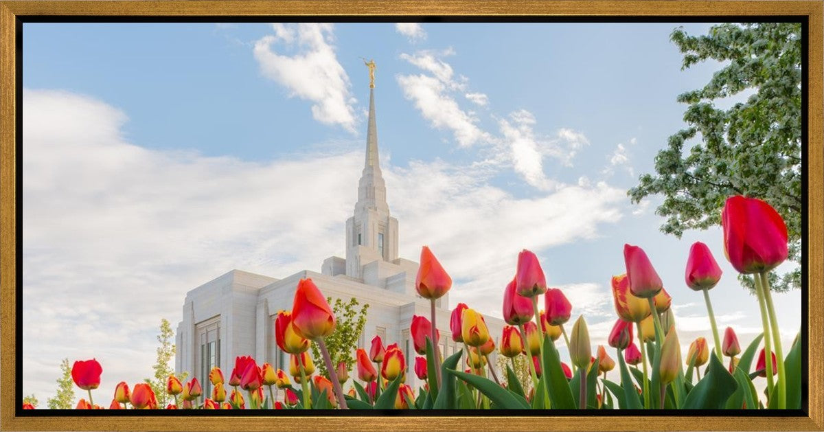 Ogden Flowers