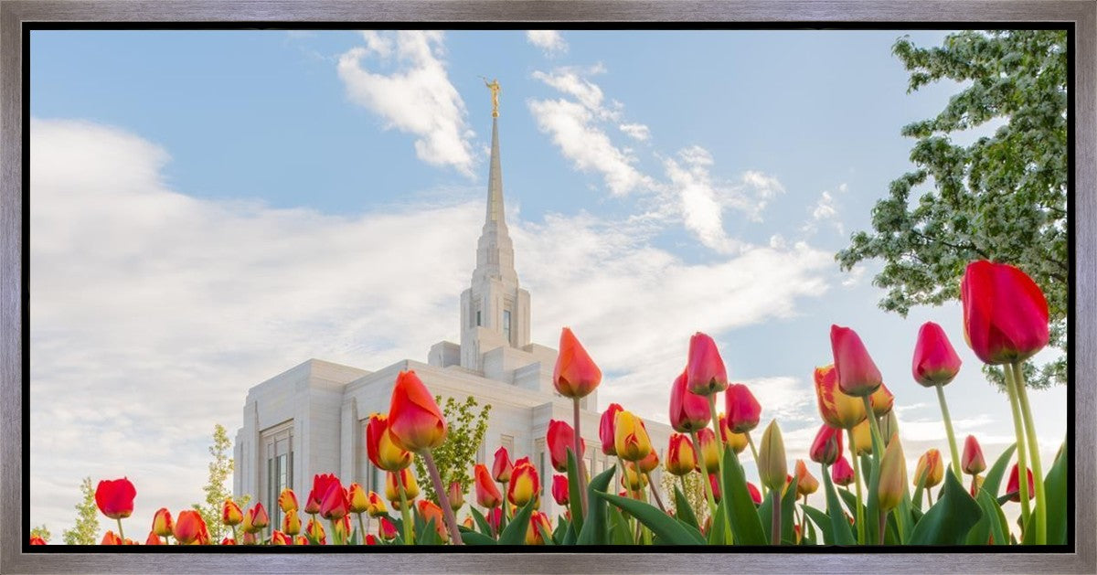 Ogden Flowers