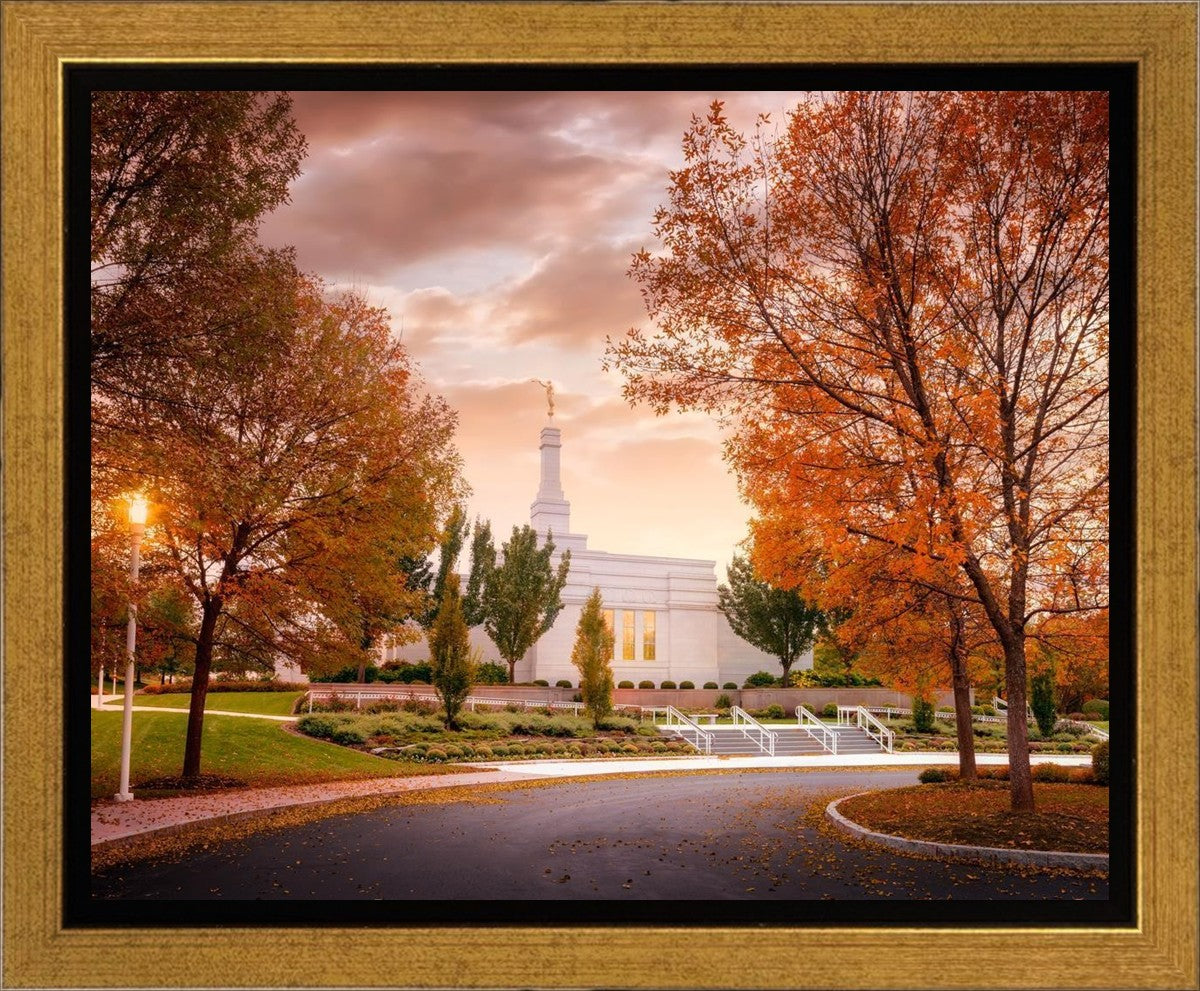 Palmyra Autumn
