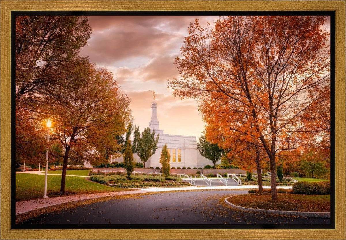 Palmyra Autumn