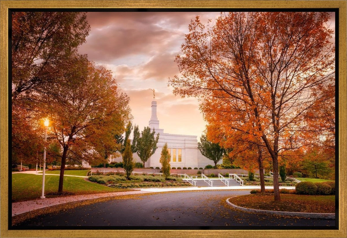 Palmyra Autumn