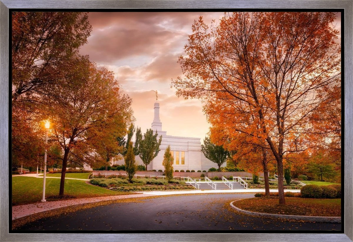 Palmyra Autumn