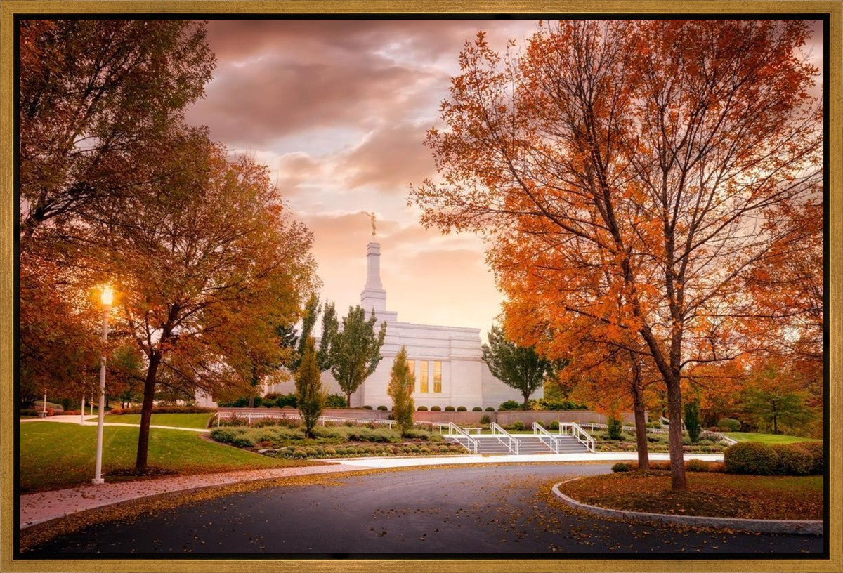 Palmyra Autumn