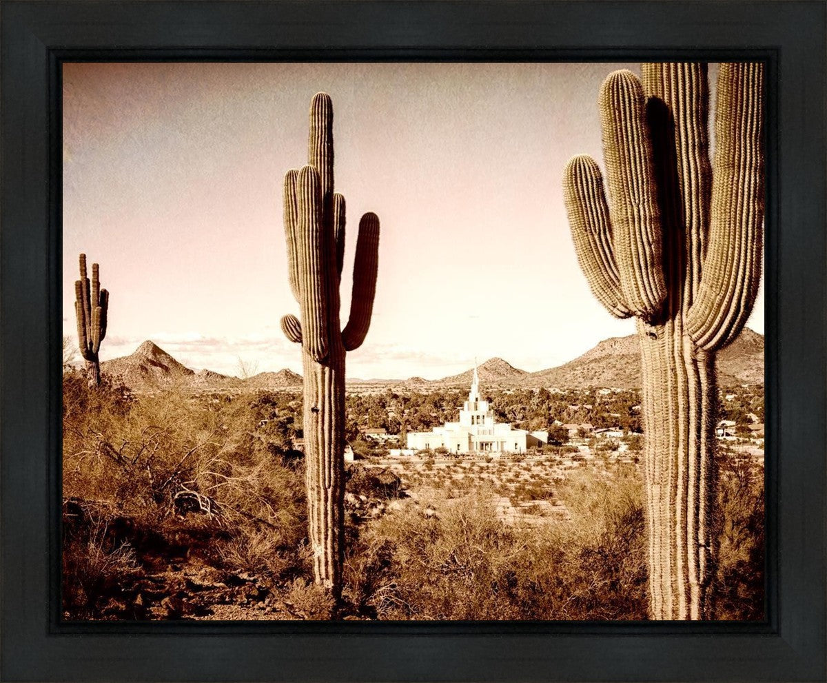 Phoenix Saguaro Cactus Gallery Wrap