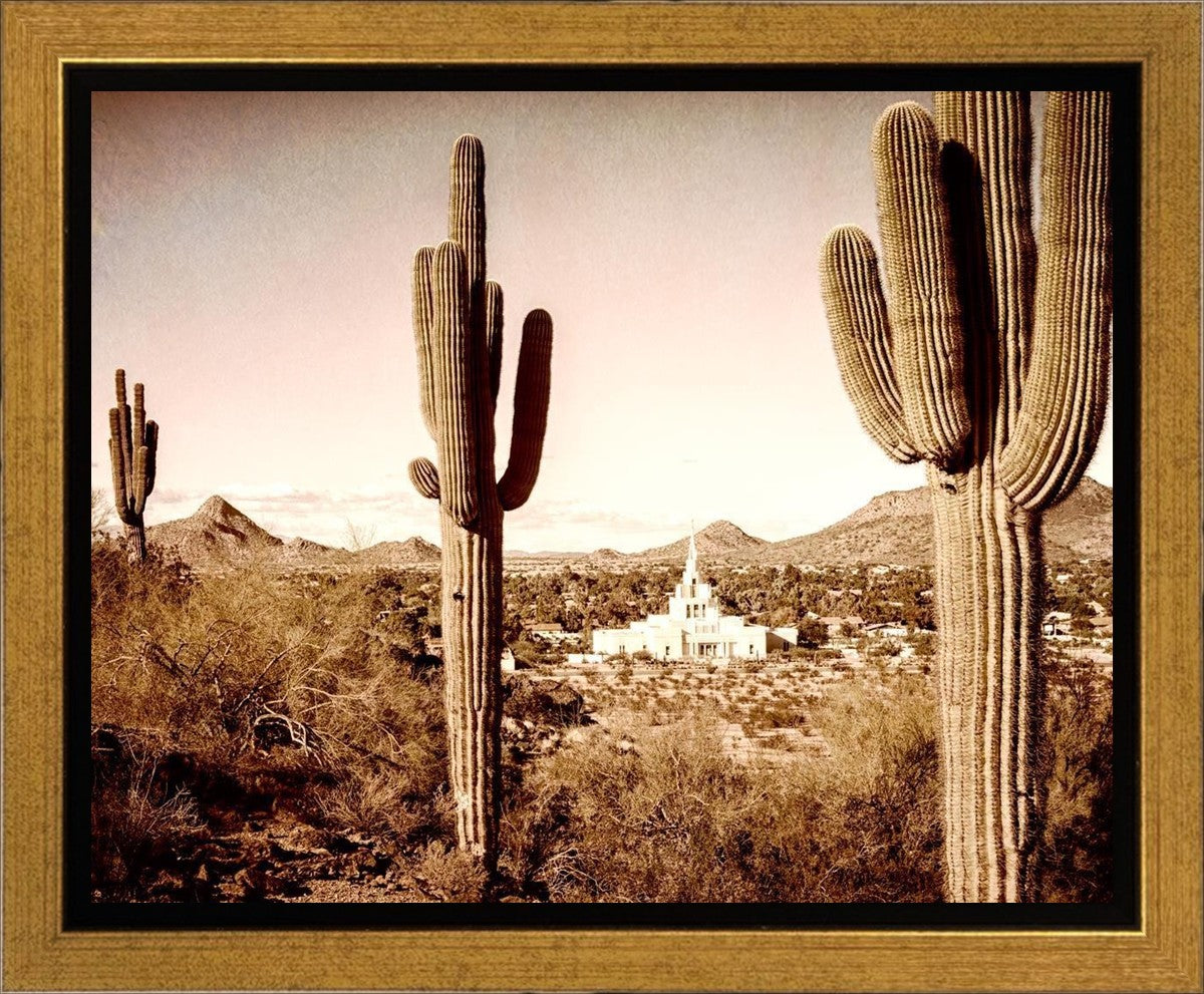 Phoenix Saguaro Cactus Gallery Wrap