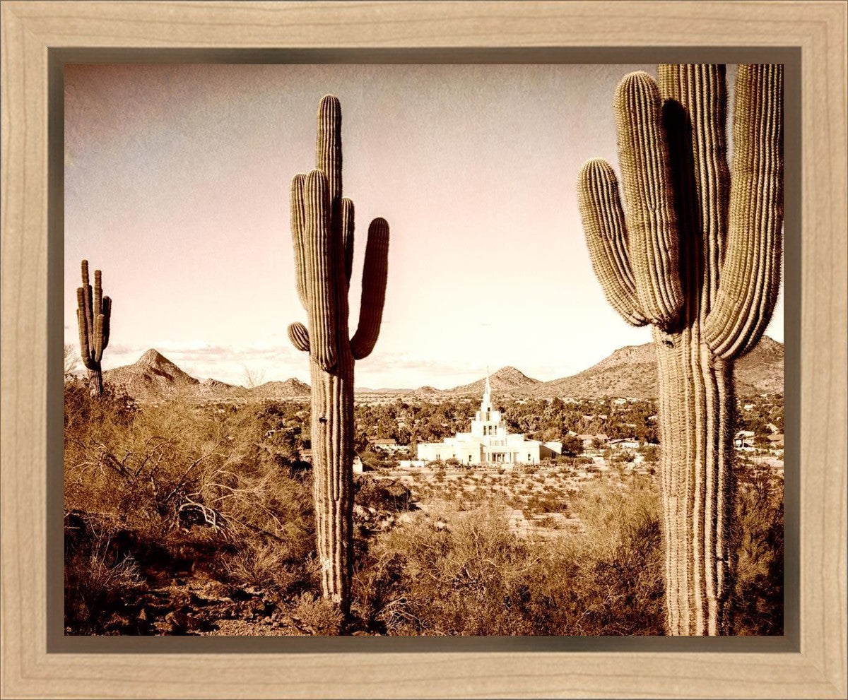 Phoenix Saguaro Cactus Gallery Wrap